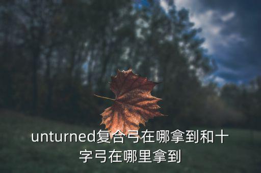 unturned复合弓在哪拿到和十字弓在哪里拿到