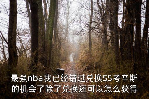 最强nba我已经错过兑换SS考辛斯的机会了除了兑换还可以怎么获得