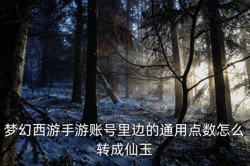 梦幻西游手游账号里边的通用点数怎么转成仙玉