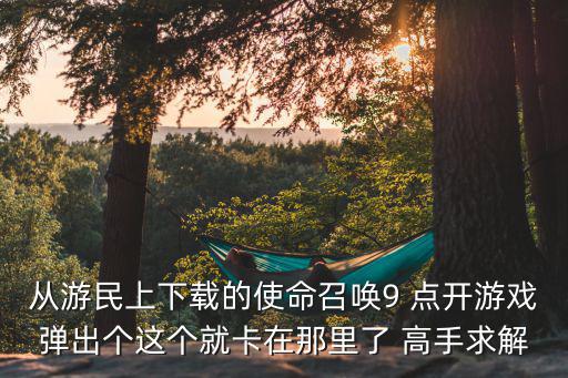 从游民上下载的使命召唤9 点开游戏弹出个这个就卡在那里了 高手求解