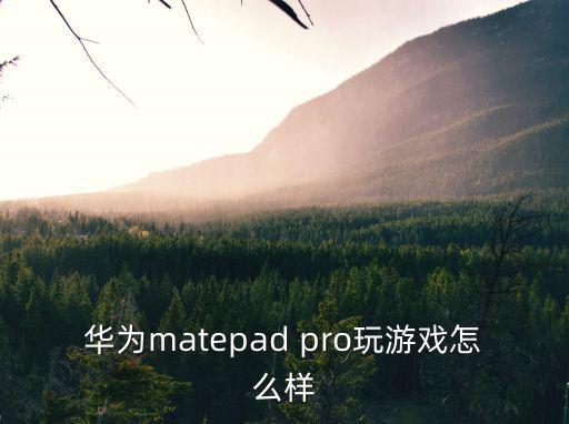 华为matepad pro玩游戏怎么样