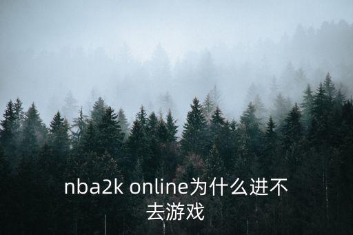 nba2k online为什么进不去游戏