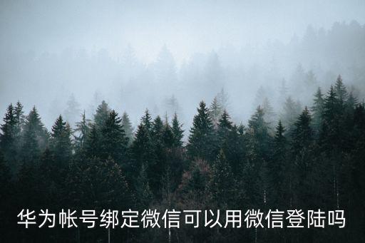 热血江湖手游华为怎么用微信登录，热血江湖的帐号用手机绑定了 怎么能登陆游戏