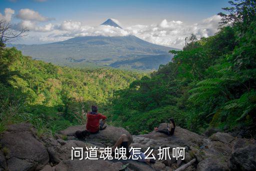 问道手游怎么没有魂，问道怎么没有强化魅魂的