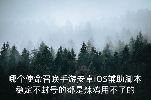 使命召唤手游挂件怎么样，使命召唤游戏