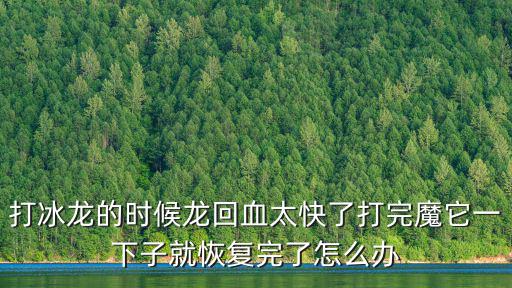 打冰龙的时候龙回血太快了打完魔它一下子就恢复完了怎么办