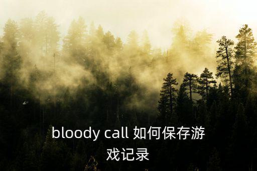 bloody call 如何保存游戏记录