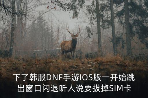 dnf韩服手游卡顿怎么解决，下了韩服DNF手游IOS版一开始跳出窗口闪退听人说要拔掉SIM卡