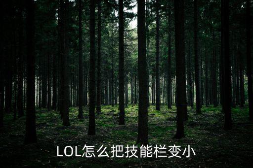 LOL怎么把技能栏变小