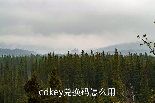 cdkey兑换码怎么用