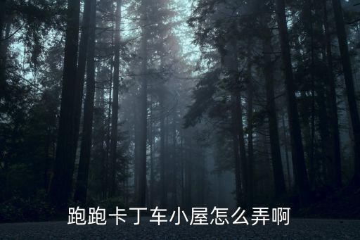 跑跑卡丁车小屋怎么弄啊