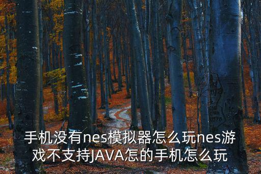 手机没有nes模拟器怎么玩nes游戏不支持JAVA怎的手机怎么玩