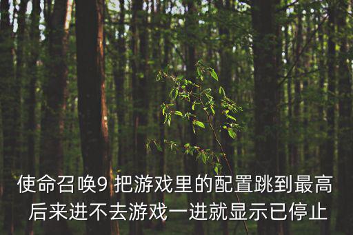 使命召唤9 把游戏里的配置跳到最高 后来进不去游戏一进就显示已停止