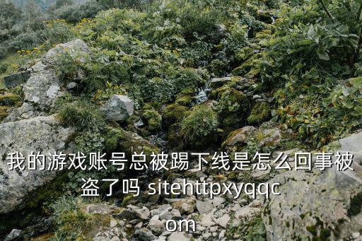 我的游戏账号总被踢下线是怎么回事被盗了吗 sitehttpxyqqcom