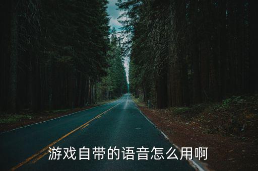 游戏自带的语音怎么用啊