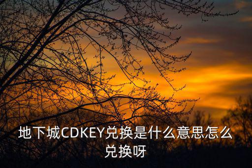 地下城CDKEY兑换是什么意思怎么兑换呀