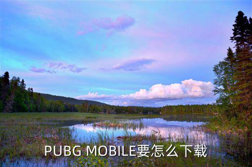 PUBG MOBILE要怎么下载