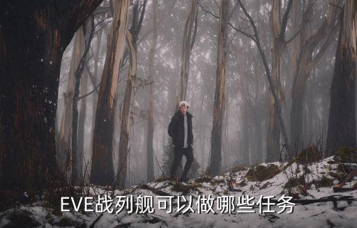 EVE战列舰可以做哪些任务