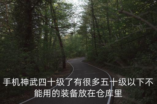 神武4手游50级以下装备怎么卖，在精武堂里怎样才能买到四五十级的装备