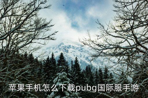 苹果手机怎么下载pubg国际服手游