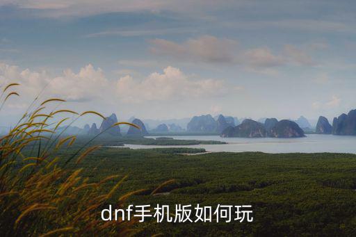 真我手机怎么玩dnf手游，手机咋玩DNF