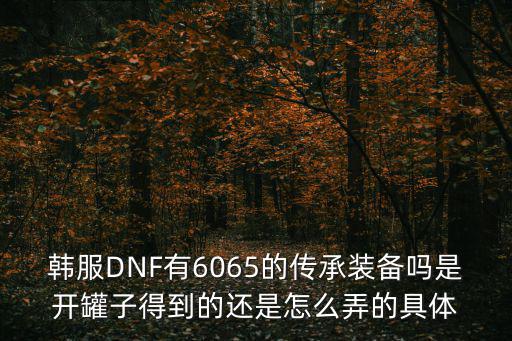 韩服DNF有6065的传承装备吗是开罐子得到的还是怎么弄的具体