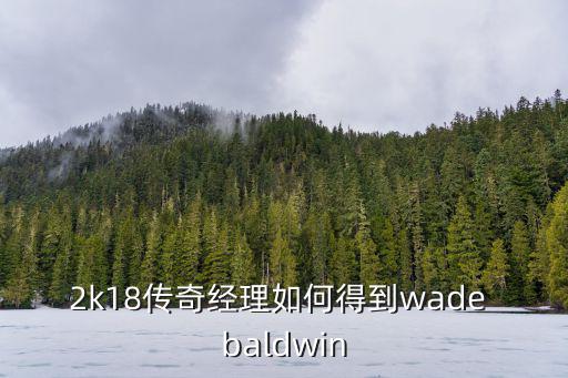 2k18传奇经理如何得到wade baldwin