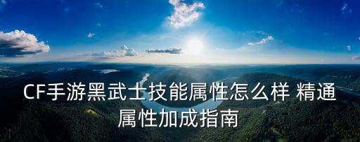 CF手游黑武士技能属性怎么样 精通属性加成指南