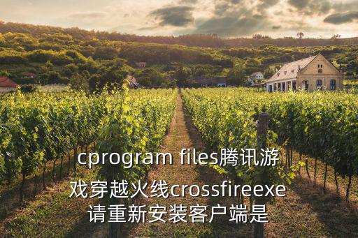 cprogram files腾讯游戏穿越火线crossfireexe请重新安装客户端是