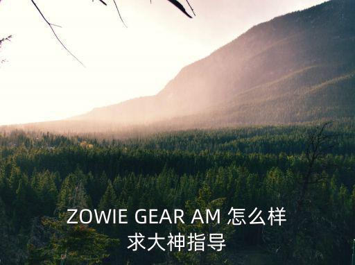 ZOWIE GEAR AM 怎么样求大神指导