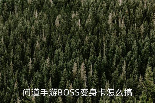 问道手游BOSS变身卡怎么搞