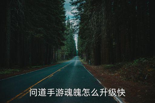 问道手游魂魄怎么升级快