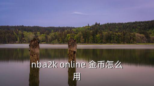 nba 2k22手游金币怎么用，nba2k online 金币怎么用