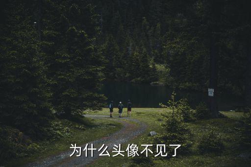 为什么头像不见了