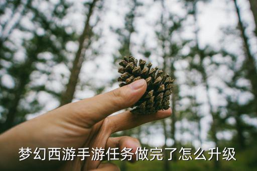 梦幻西游手游任务做完了怎么升级