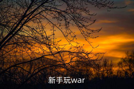 新手玩war