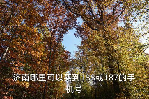 济南哪里可以买到188或187的手机号