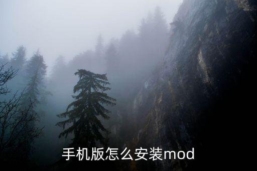 手机版怎么安装mod