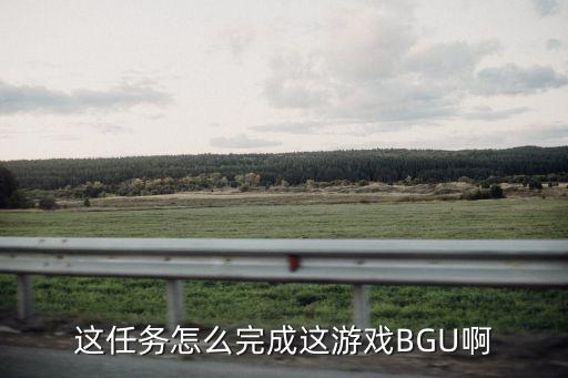 这任务怎么完成这游戏BGU啊