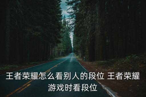 王者荣耀怎么看别人的段位 王者荣耀游戏时看段位