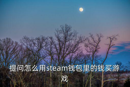 提问怎么用steam钱包里的钱买游戏