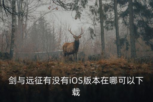 剑与远征有没有iOS版本在哪可以下载