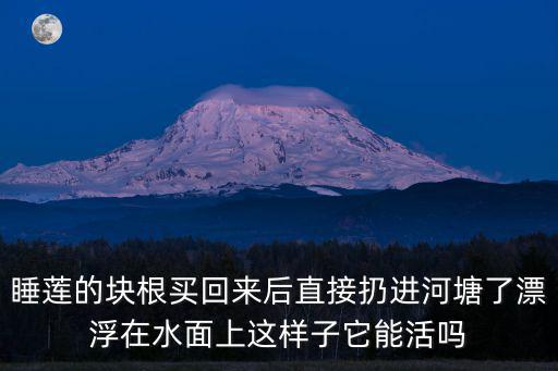 睡莲的块根买回来后直接扔进河塘了漂浮在水面上这样子它能活吗