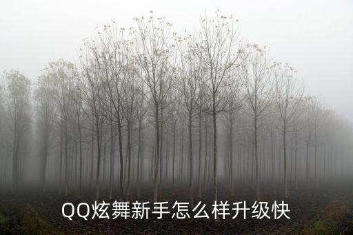 QQ炫舞新手怎么样升级快