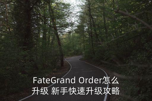 FateGrand Order怎么升级 新手快速升级攻略