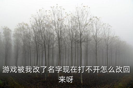 游戏被我改了名字现在打不开怎么改回来呀