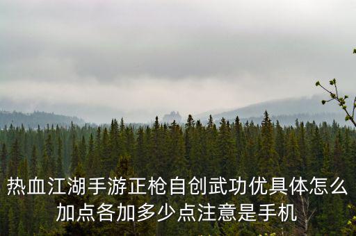 热血江湖手游正枪自创武功优具体怎么加点各加多少点注意是手机