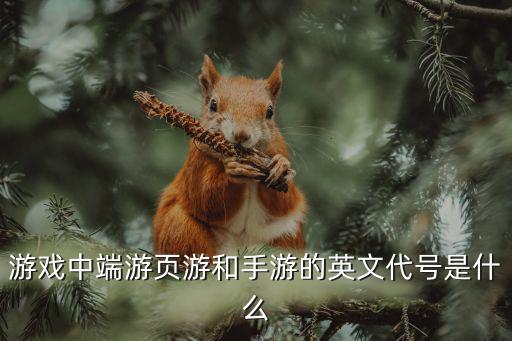 游戏中端游页游和手游的英文代号是什么