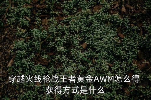 穿越火线枪战王者黄金AWM怎么得 获得方式是什么