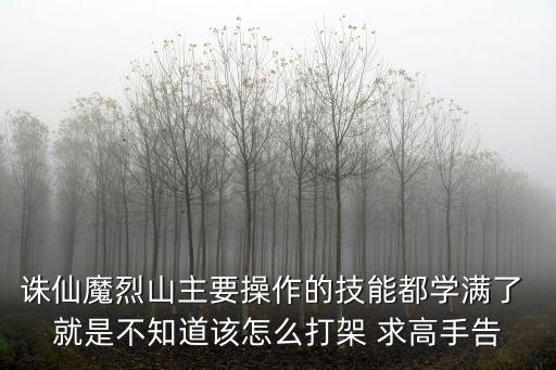 诛仙魔烈山主要操作的技能都学满了 就是不知道该怎么打架 求高手告